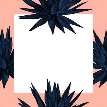 Exotic flowers set. Botanical vector vintage illustration Stock Illustration