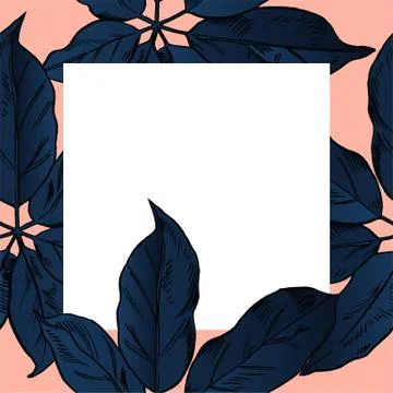 Exotic flowers set. Botanical vector vintage illustration Stock Illustration