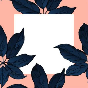 Exotic flowers set. Botanical vector vintage illustration Stock Illustration