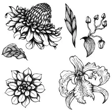 Exotic flowers set Stock Illustration