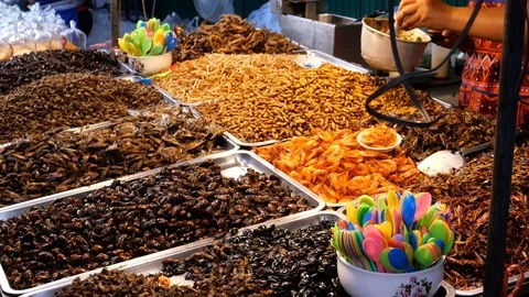 Exotic food of deep fried insects Stock-Footage 119856142