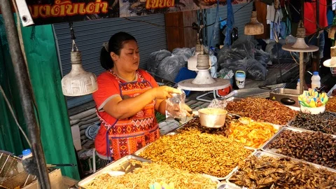 Exotic food of deep fried insects Stockbeeldmateriaal 119856355