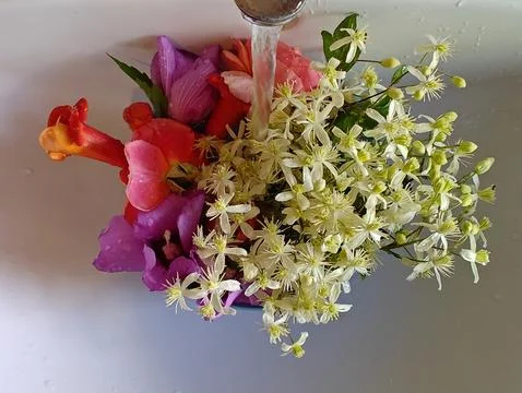 Exotic fresh flowers in a vase Foto stock