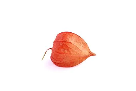 Exotic fresh orange physalis isolated on white background stock photo Stock Photos