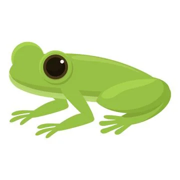 Exotic frog icon cartoon vector. Cute green Stock Illustration