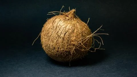 Exotic fruit Coconut, fruit in the shell, dark background, selective focus Stock Photos