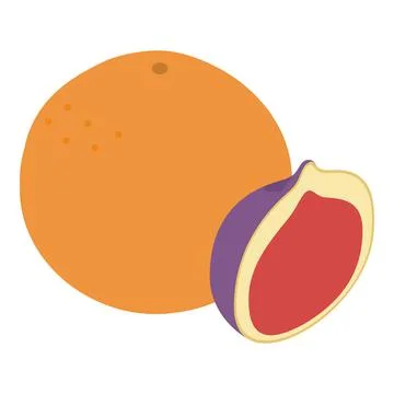 Exotic fruit icon isometric vector. Fresh ripe juicy grapefruit and fig 库存插图
