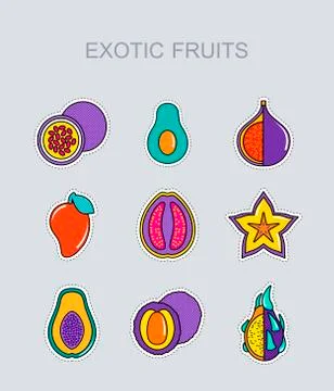 Exotic fruit icons set Stock Illustration