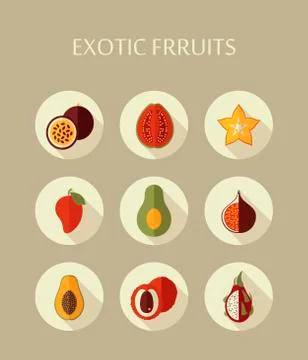 Exotic fruit icons set Stock Illustration