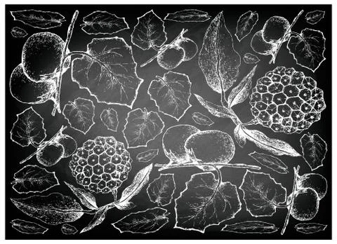 Exotic Fruit, Illustration Wallpaper Background of Hand Drawn Sketch of Cubiu Stock Illustration