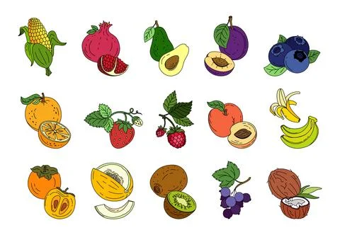 Exotic fruit set doodle Vector color illustration isolated on white backgroun Stock Illustration