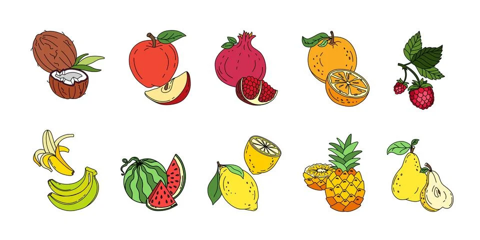 Exotic fruit set doodle Vector color illustration isolated on white backgroun Stock Illustration