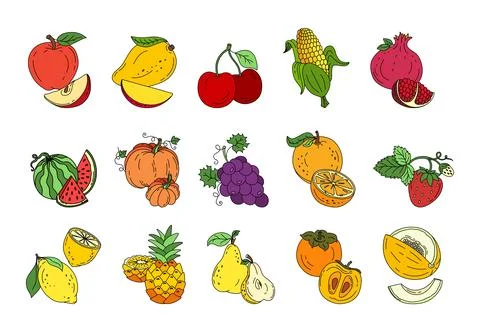 Exotic fruit set doodle Vector color illustration isolated on white backgroun Stock Illustration