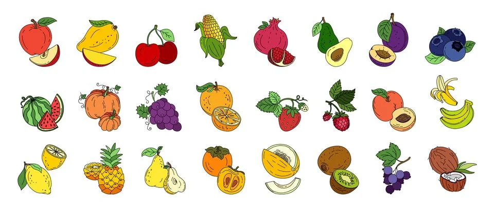 Exotic fruit set doodle Vector color illustration isolated on white backgroun Stock Illustration