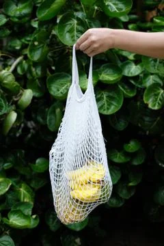 Exotic Fruit in String Bag Zero Waste Concept Stock Photos