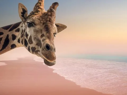 Exotic giraffe by the sea with copy space Stock Illustration