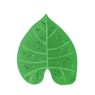 Exotic green leaf summer vector illustration on white background. Colorful pl Stock Illustration