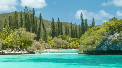 Exotic Island Features of Isle of Pine Stock-Footage 61086213