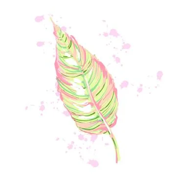 Exotic leaf element with splash , Vector illustration with plant in light pastel Stock Illustration