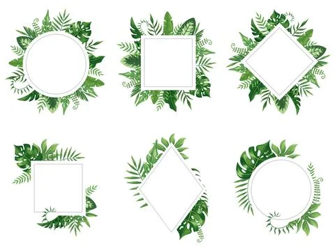 Exotic leaf frame. Spring leaves card, tropical tree frames and vintage flo.. 库存插图