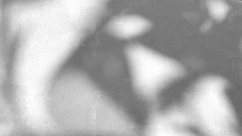 Exotic leaf shadow, light on grey wall background. Nature tropical leaves Stock Footage 316497131