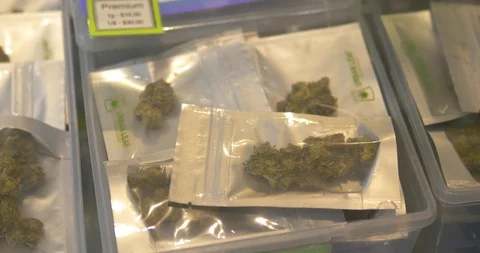 Exotic marijuana buds on display at store Stock Footage 101469961