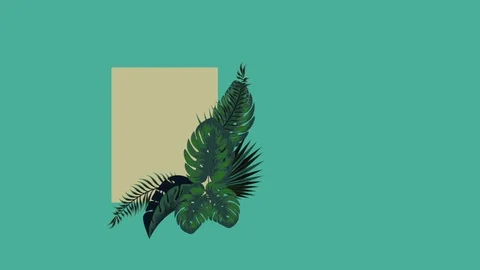Exotic monkey in tropical animation Stock Footage 112851533