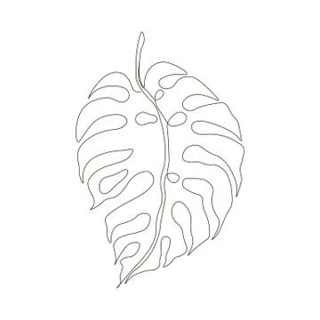 Exotic monstera continuous one line drawing summer tropical leaf hand drawn on Stock Illustration