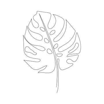 Exotic monstera continuous one line drawing summer tropical leaf hand drawn on Stock Illustration