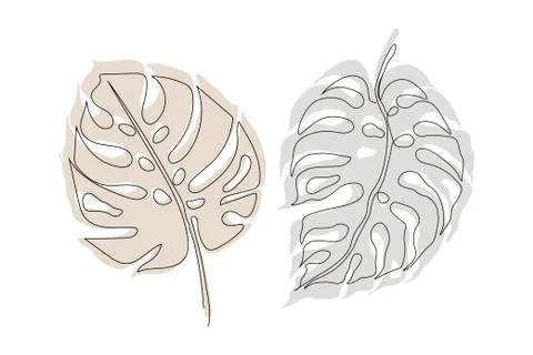 Exotic monstera continuous one line drawing summer tropical leaf hand drawn on Stock Illustration
