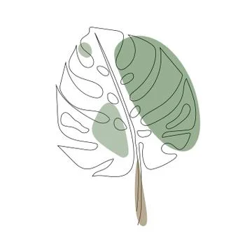 Exotic monstera continuous one line drawing summer tropical leaf hand drawn on Stock Illustration