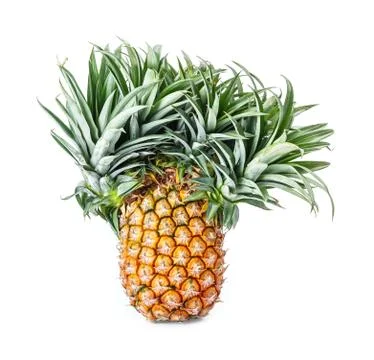 Exotic mutation pineapple Stock Photos