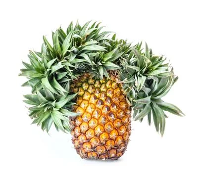 Exotic mutation pineapple Stock Photos