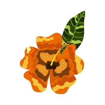 Exotic orange flower Stock-Illustration