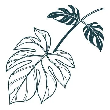 Exotic Palm Leaf Flat Vector Illustration Stock Illustration