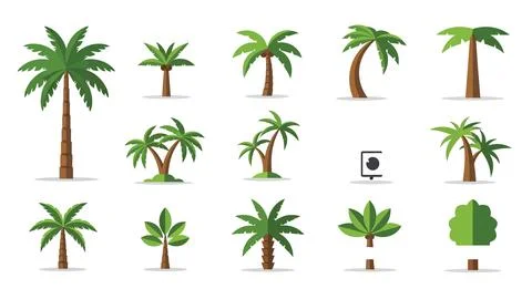 Exotic palm tree vector set with different species and growth stages for la.. イラスト素材