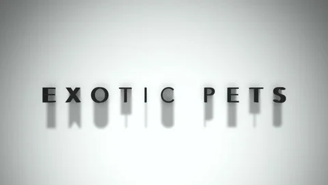 Exotic Pets 3D title animation matte black text on a white background Stock Footage 300717051
