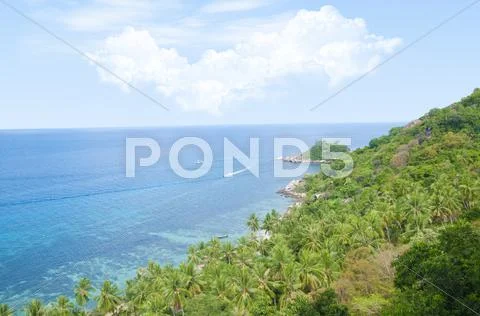 Exotic place in island koh toa ,thailand Stock Illustration