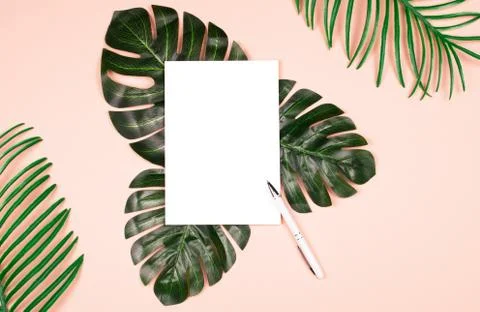 Exotic plants and note pad on pale pink background. Stock Photos