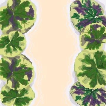 Exotic plants on a light background with place for text for design of printed Illustrazione stock
