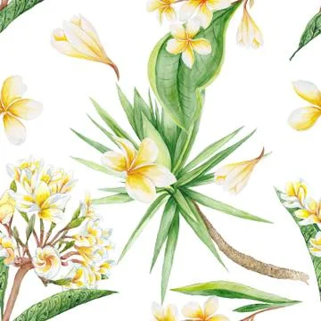 Exotic Plants Pattern Stock Illustration