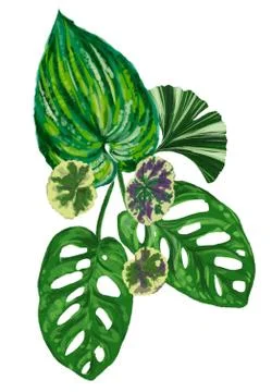 Exotic plants on a white background for decor Illustrazione stock