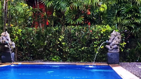 Exotic pool with jungle in background and fountains of elephant statues Stock Footage 308766045