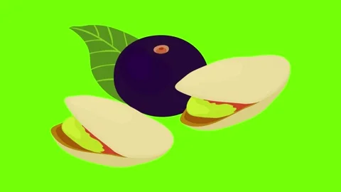 Exotic product icon animation Stock Footage 152577516