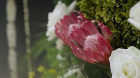 Exotic Protea Flower Close-Up 库存影片 301283073