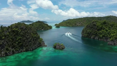 Exotic from Raja Ampat beauty shot Stock Footage 219241553