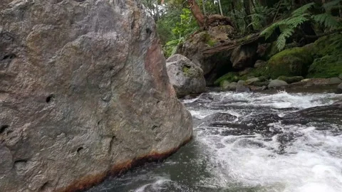 Exotic River Waterfall Stock Footage 204791965