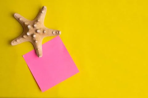 Exotic sea shell with pink note stick on a yellow background. Summer vacation Stock Photos