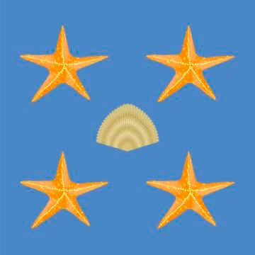 Exotic Seashell Seamless Pattern Stock Illustration