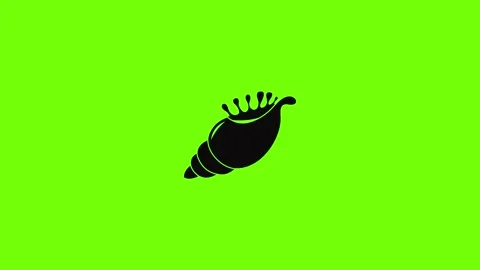 Exotic shell icon animation Stock Footage 157503792